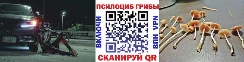 Купить закладки  Белорецк  Галлюциногенные грибы Psilocybe 